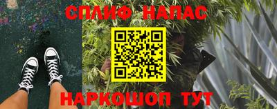 стаф Шебекино