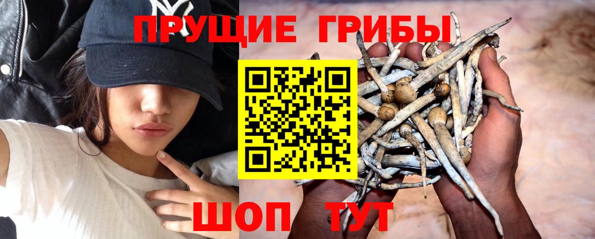 где найти   Вход с VPN  Скопин  Галлюциногенные грибы Magic Shrooms 